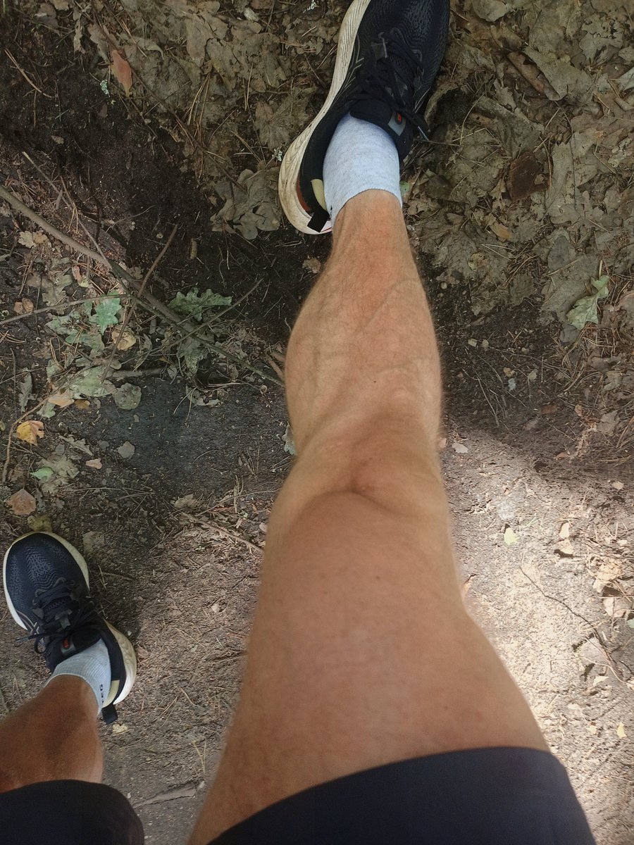 Pan Alpha | Polish Muscle CashMaster tweet media