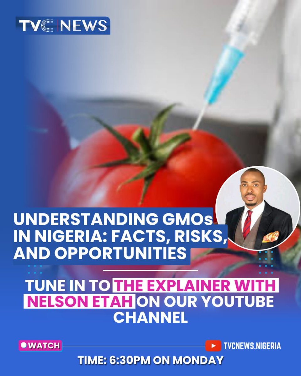 tvcnewsng's tweet photo. What are the real facts about GMOs in Nigeria?
Join The Explainer With Nelson Etah for an insightful conversation on Genetically Modified Organisms, the risks & opportunities
Watch on our YouTube channel https://t.co/rio1PSjMPf
⏲️ 6:30PM
#TheExplainer
#GMOs
@nelson_etah https://t.co/5MGzY7v7lA