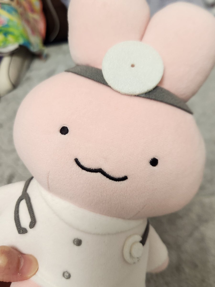 rita_knsu's tweet photo. 私の可愛いぬい達の紹介。
他にもまだたくさんいる。 https://t.co/25PlsOXli2