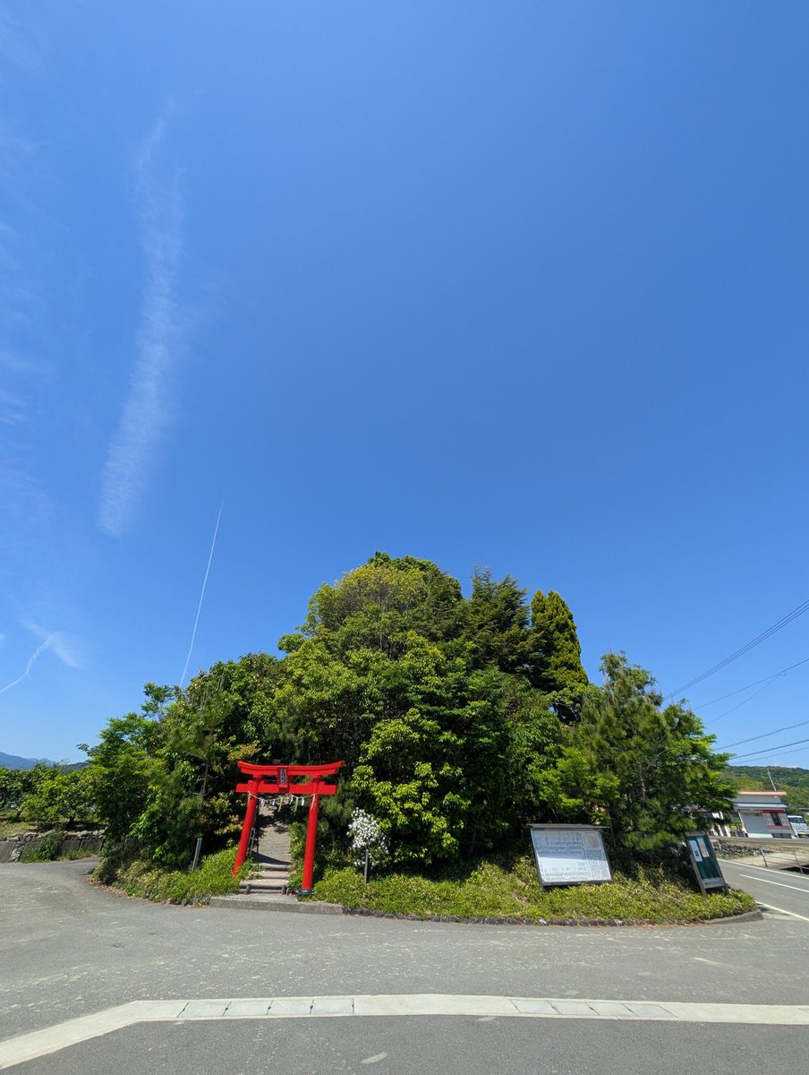 福よち tweet media