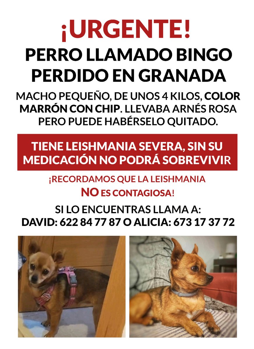 pmedinarivas's tweet photo. https://t.co/ZnhKZfRfMB
