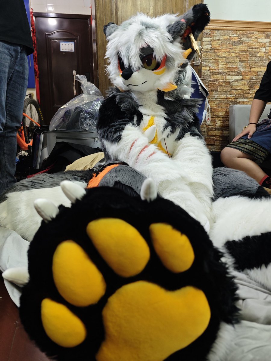 UncleFlameEX's tweet photo. Paws!

#furry #fursuit #FursuitFriday #FursuitEveryday #兽装 https://t.co/4mLajPDxCV