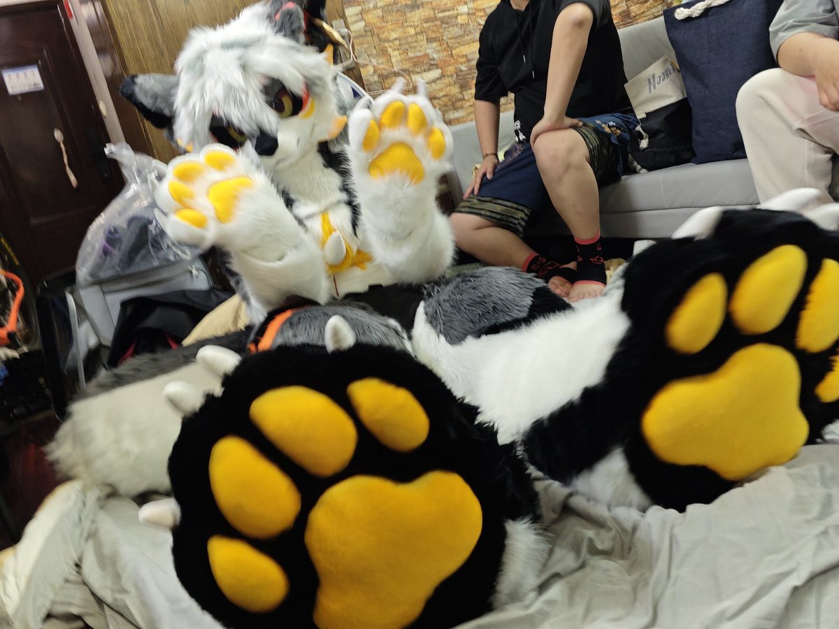 UncleFlameEX's tweet photo. Paws!

#furry #fursuit #FursuitFriday #FursuitEveryday #兽装 https://t.co/4mLajPDxCV
