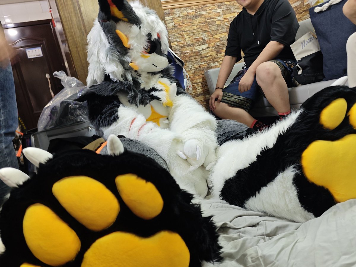 UncleFlameEX's tweet photo. Paws!

#furry #fursuit #FursuitFriday #FursuitEveryday #兽装 https://t.co/4mLajPDxCV