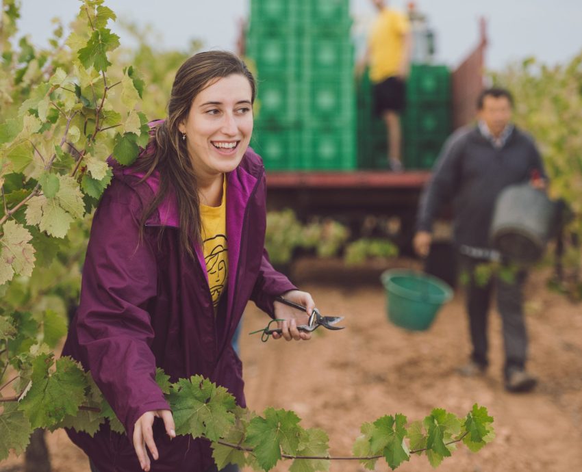 yummybull's tweet photo. -¡The Yummy Bull Series está de vuelta! En esta ocasión nos lanzamos a la versión más innovadora de los vinos manchegos de la mano de María de La Recueja. Una joven promesa que comunica con una pasión desbordante. 
-Los acompañaremos de unas tapas para hacer la experiencia más divertida. 

-📅 4 de junio de 2026 
-⏰ 19:00 – 20:30 h 
-📍 Sala Oscar Pata Negra · Madrid 🎟️ 25 € ·  
Podéis comprar vuestras entradas aquí:
https://t.co/ahug7sGpeX

-Y si estáis interesados en quedaros a cenar después de la cata podéis hacer vuestra reserva aquí:
https://t.co/RQHIuY7MHn