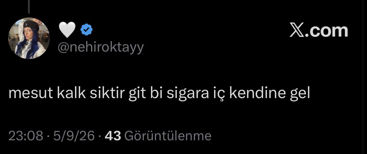 ⛰️ tweet media