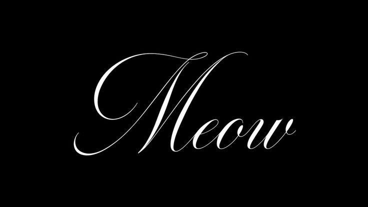 ؘ tweet media