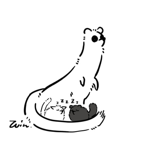 冬 tweet media
