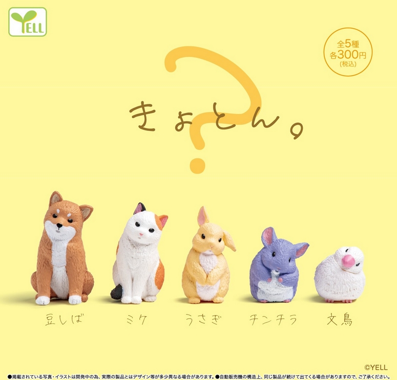『きょとん。』発売。 
gacha.o0o0.jp/gp/archives/48…