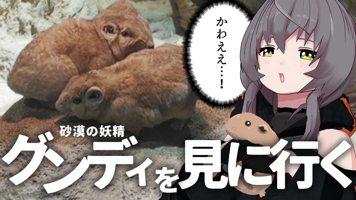 敷嶋てとら💭👀動画勢Vtuber&Vsinger tweet media