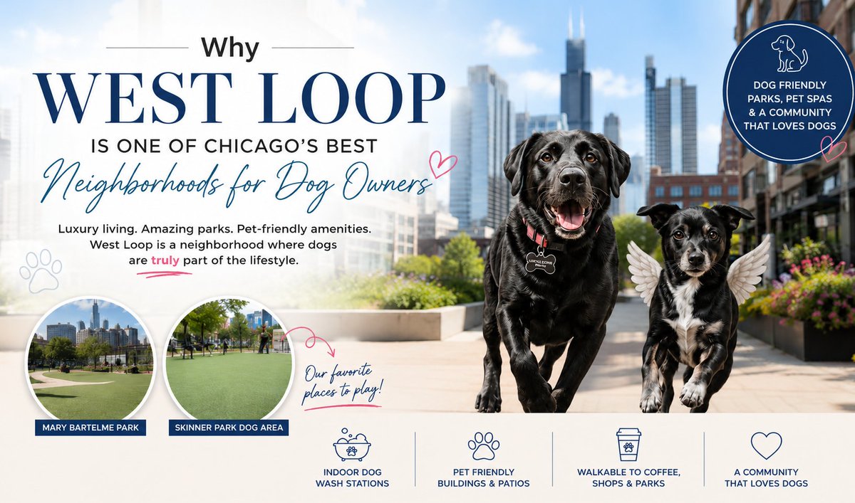 thehancockgroup's tweet photo. West Loop is BUILT for dog owners.
Two great dog parks. Luxury buildings with on-site dog spas. Pet friendly patios on every block.
If you're shopping for a Downtown Chicago condo and your dog is part of the decision, this neighborhood is hard to beat.

More Info→https://t.co/0DNsjxBVov

6. HASHTAGS
#WestLoopChicago #DogFriendlyChicago #ChicagoCondo 

#WestLoopChicago #DogFriendlyChicago #ChicagoCondo