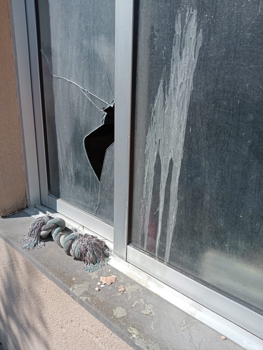 ECOS DE LA VERDAD tweet media