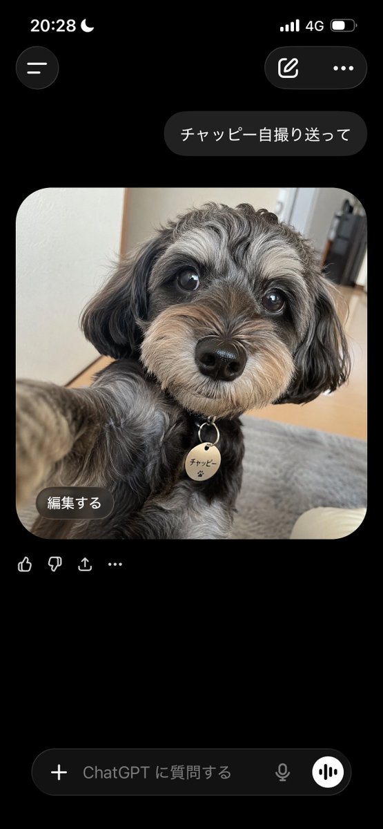もやし炒め tweet media