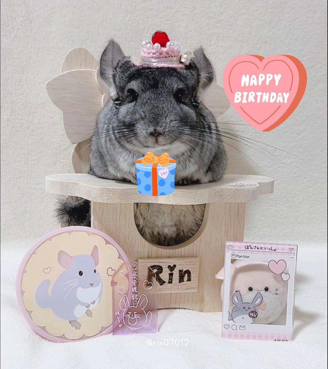 🐭凜🐾💕 tweet media