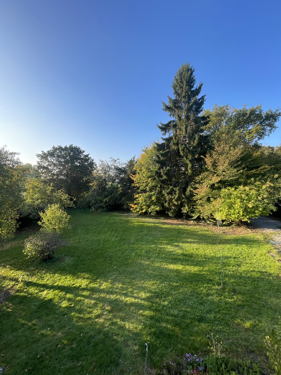 Valentin_Decker's tweet photo. Tout le monde parle de SF, Paris, Shenzen, etc.
mais pourquoi personne ne parle de la Normandie ?

- Abonnement Claude Max
- Bureau avec vue sur la nature
- Jardin de 3 500m2, avec fruits et légumes
- Calls dans la forêt
- Brunch le dimanche entre copains
- Climat frais https://t.co/x2exNfMCXN