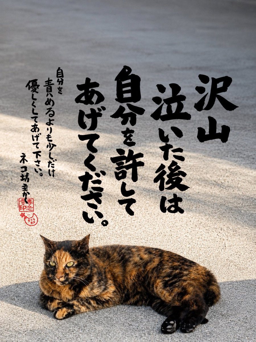 専念寺/ネコ坊主 tweet media