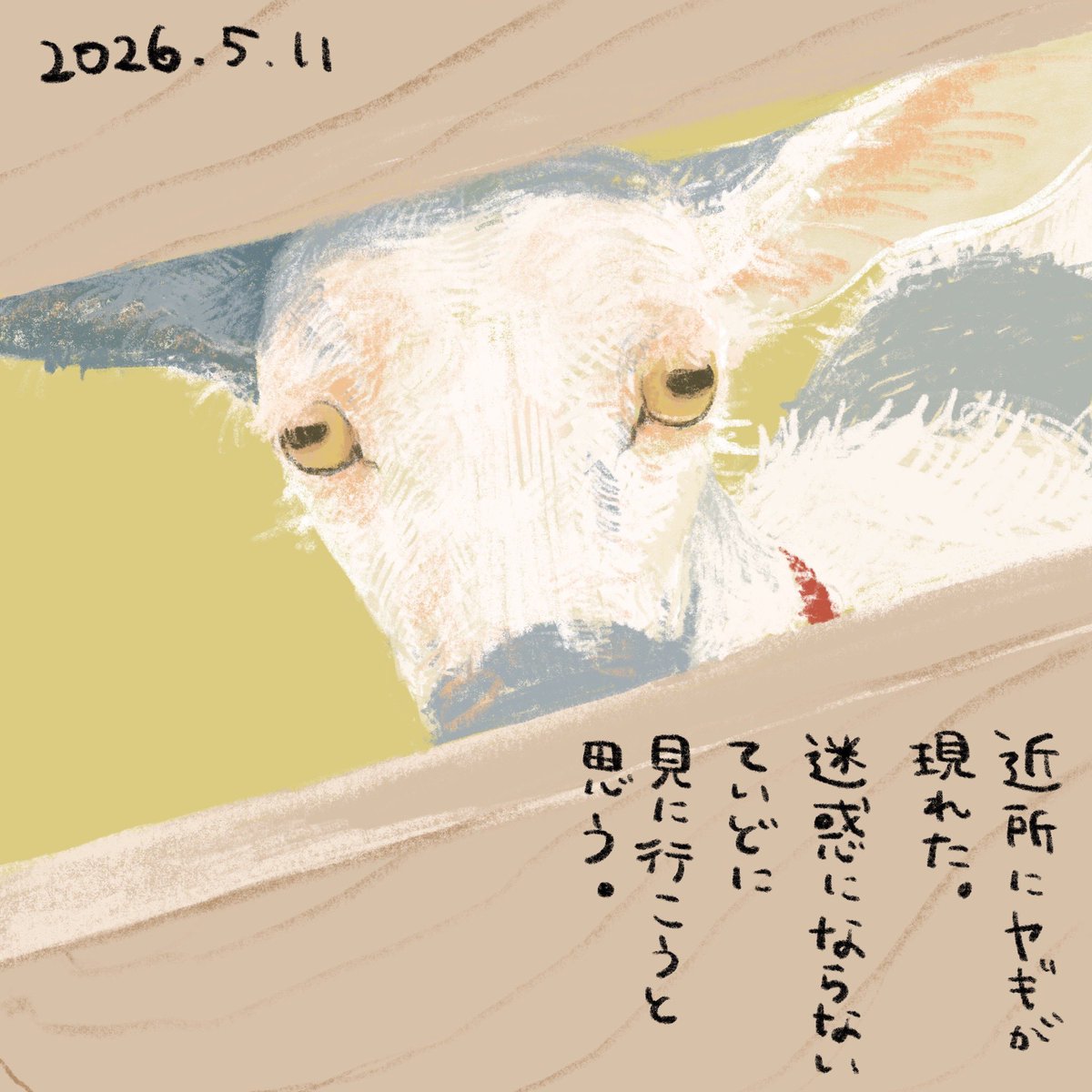 長谷川葉生 はせがわよう tweet media