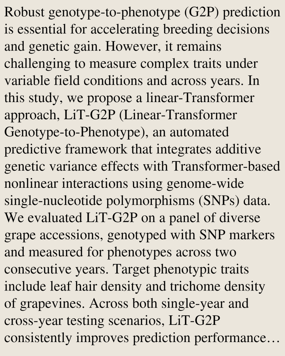 KNM's tweet photo. A Linear-Transformer Hybrid for SNP-Based Genotype-to-Phenotype Prediction in Grapevine

Yibin Wang, Murukarthick Jayakodi, Silvas Kirubakaran, Ambika Chandra, Azlan Zahid
https://t.co/fhLATHz0dC [𝚚-𝚋𝚒𝚘.𝙶𝙽 𝚌𝚜.𝙰𝙸] https://t.co/xhfTwFXViA