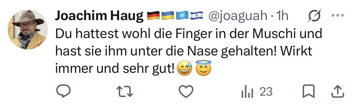 volksverführerin tweet media