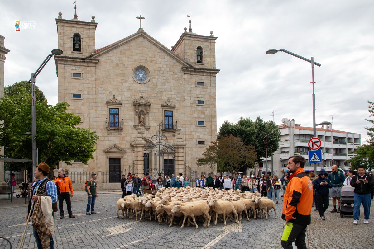 Município de Castelo Branco tweet media