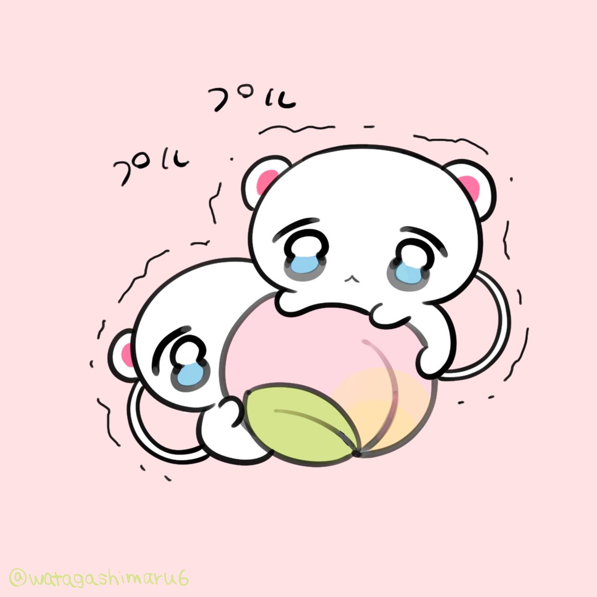 わたがしまる tweet media