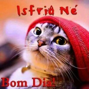 puta que pariu games (@gatosviados) on Twitter photo 