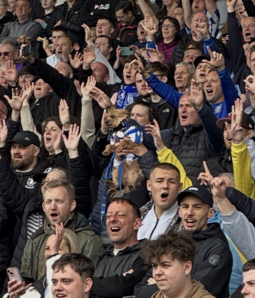 robstaton's tweet photo. Noticed this at the Sheffield Wednesday charity game on Saturday, pre-match, as the fans barked out Hi Ho Silver Lining. Enjoying the end of a ruff season. #SWFC https://t.co/D75gmNaJ7u