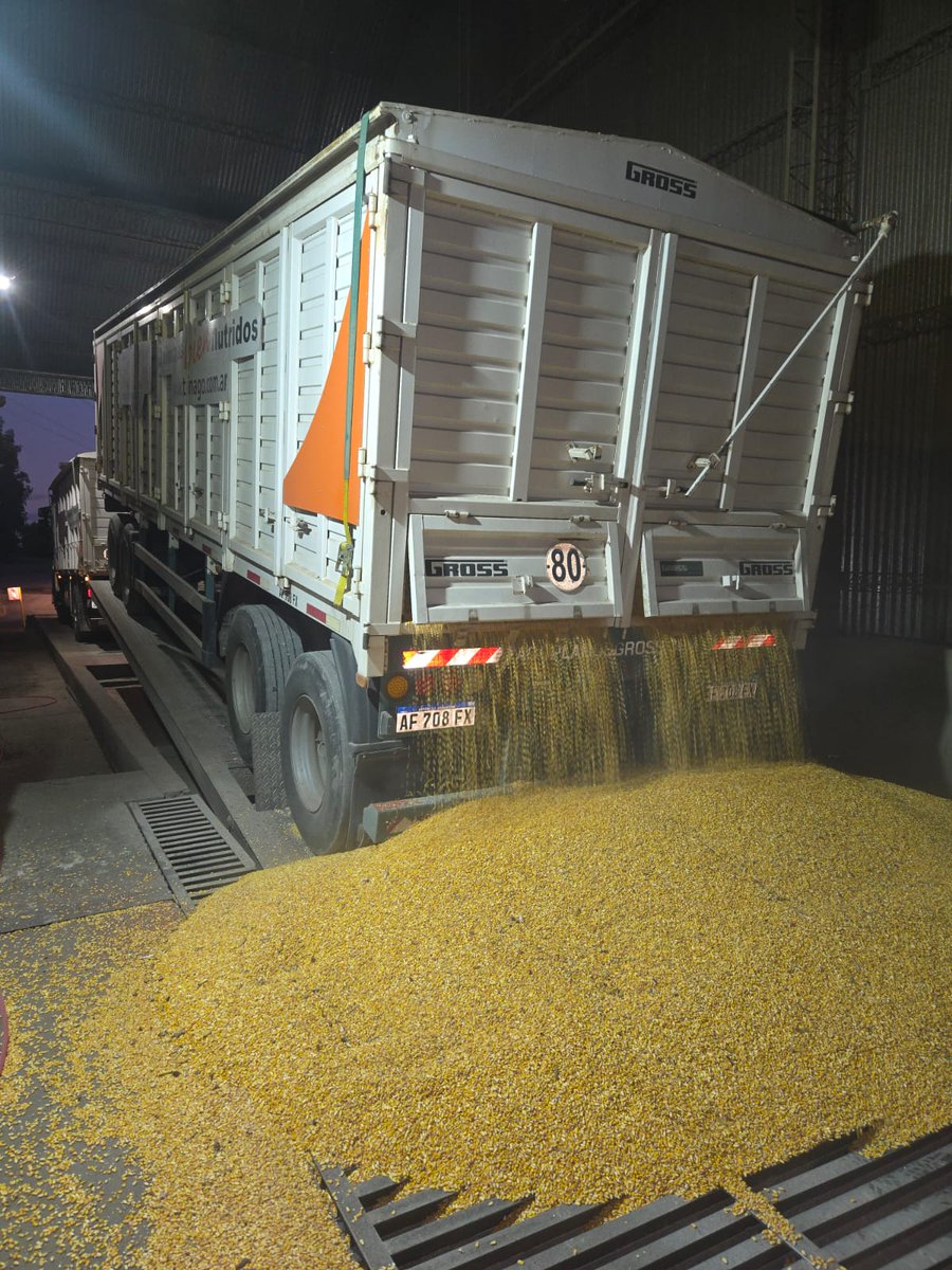 TinagoAB's tweet photo. Un secado adecuado del maíz es clave para obtener alimentos balanceados confiables. ¡Nuestro compromiso es con la calidad! #SecadoDeMaíz #SeguridadAlimentaria
https://t.co/EUcichpt4C https://t.co/5PyIPx7AFJ