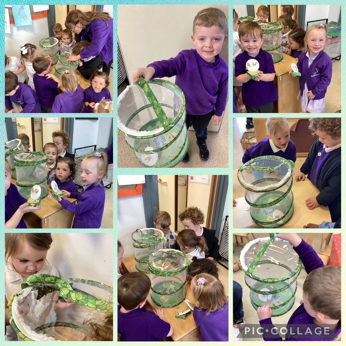 Nursery tweet media