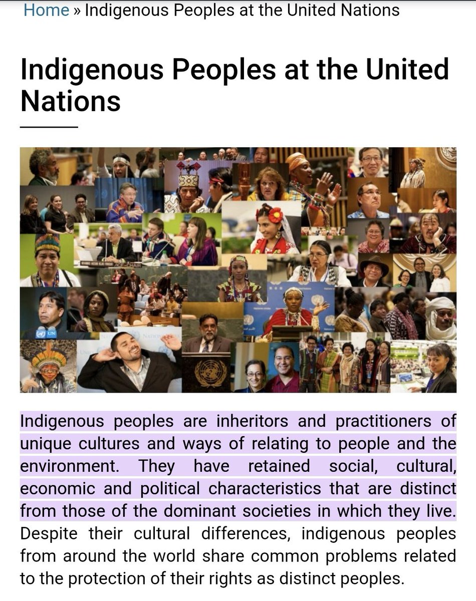 reallhere's tweet photo. Always worth remembering what the actual definition of indigenous peoples are as recognised by the UN.
They do not expire with time.
Displacement doesn't erase them.
They are not measured by DNA but by culture.
And they refer to collectives not individuals. https://t.co/p3tTsv43yo