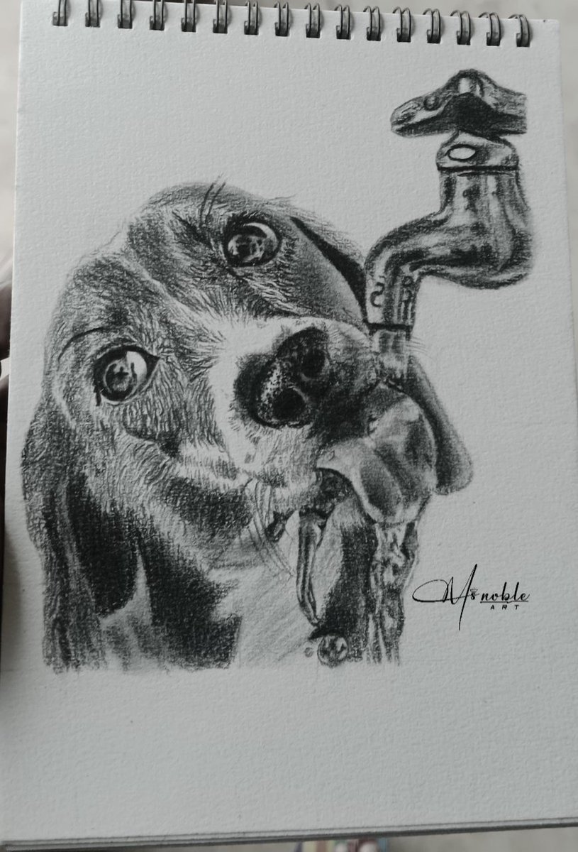 Msnobleart tweet media