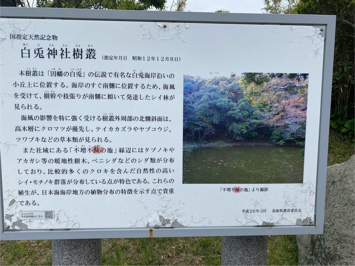 はれの tweet media
