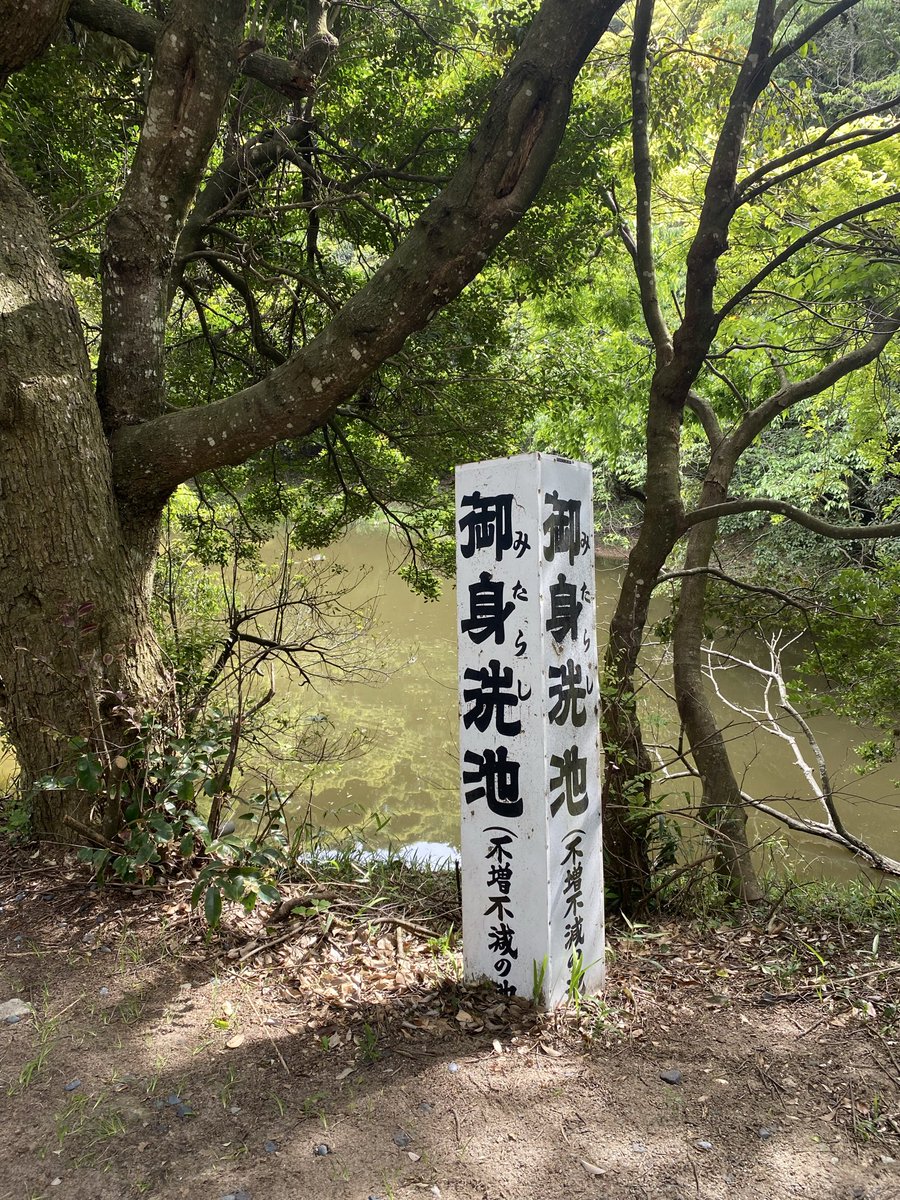 はれの tweet media