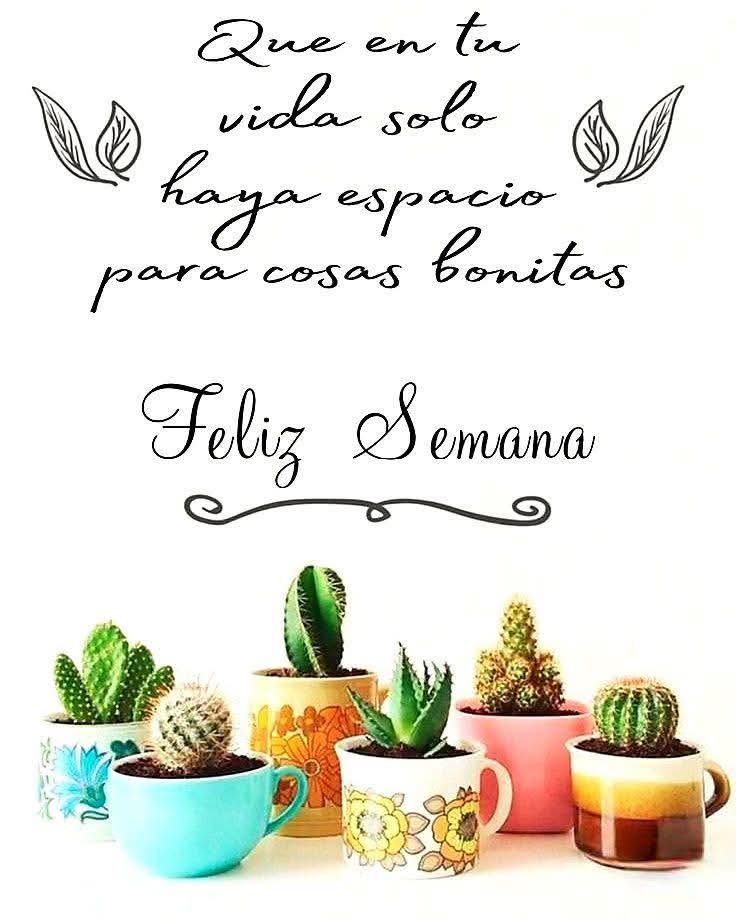 Carina Viviana🌵 tweet media
