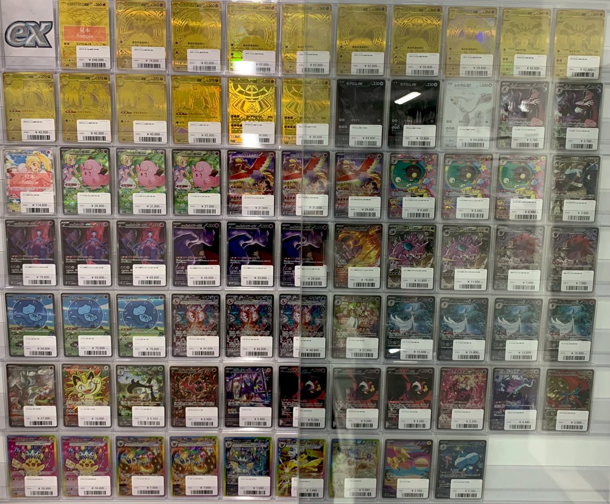 💎ショーケース情報💎 🏷️素体ショーケース① ※郵送にて購入希望が