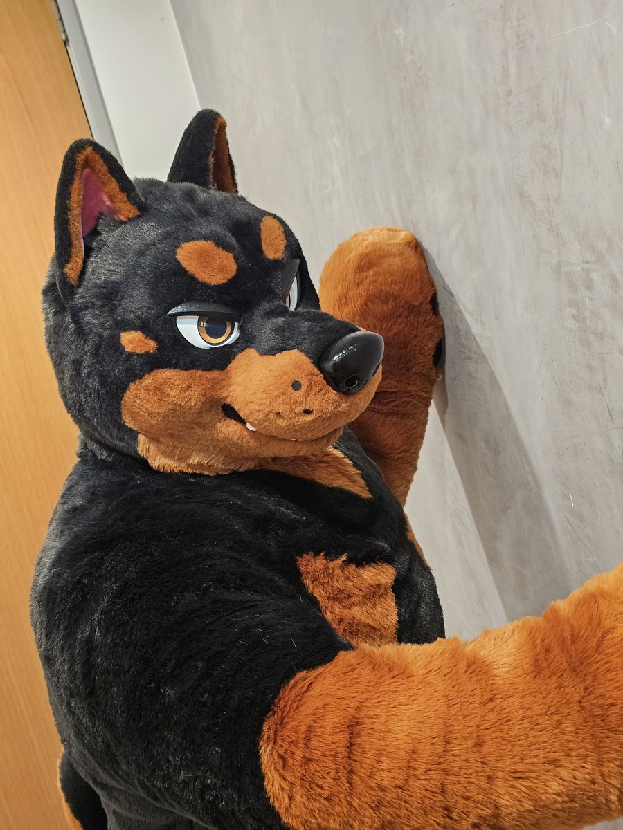 やまちゃ@FurEast tweet media