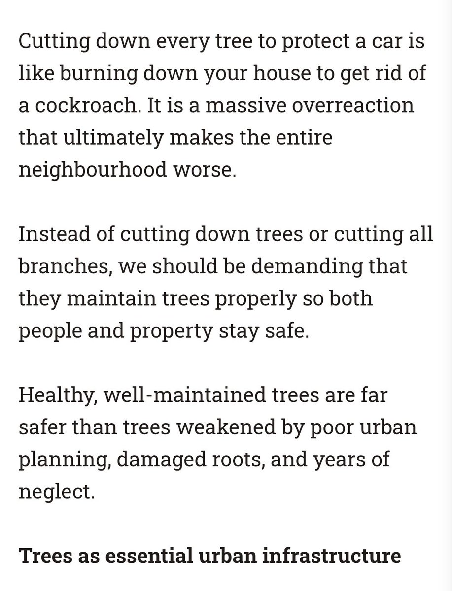 Kuala Lumpur doesn't get this 

They won't maintain the trees and cut all of them off when accidents happen n wonder why it's getting so hot and floods are increasing. Big tree are essential to absorb and slow down  water. Why do we never get this and keep chopping trees??