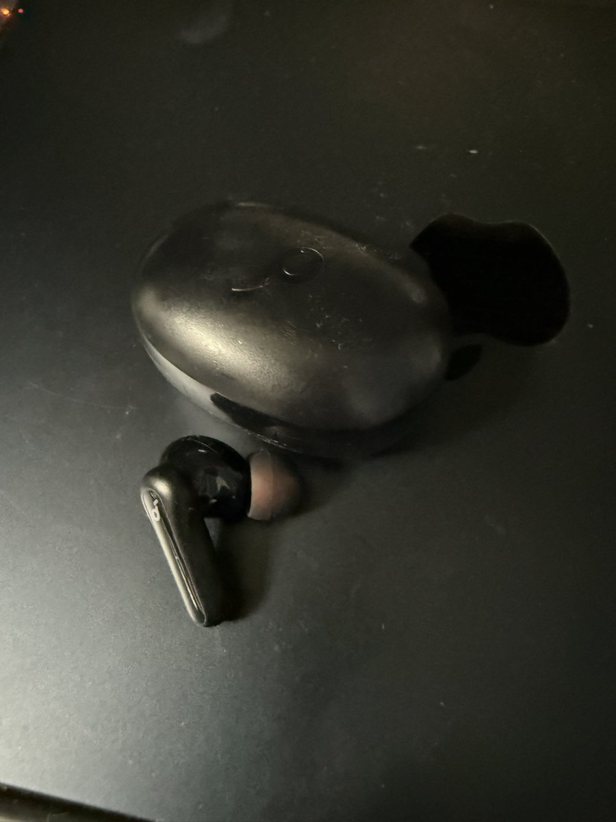 ワイヤレスのBluetoothイヤホン片っぽ落としましたとさ( ᐛ )و 左耳さ