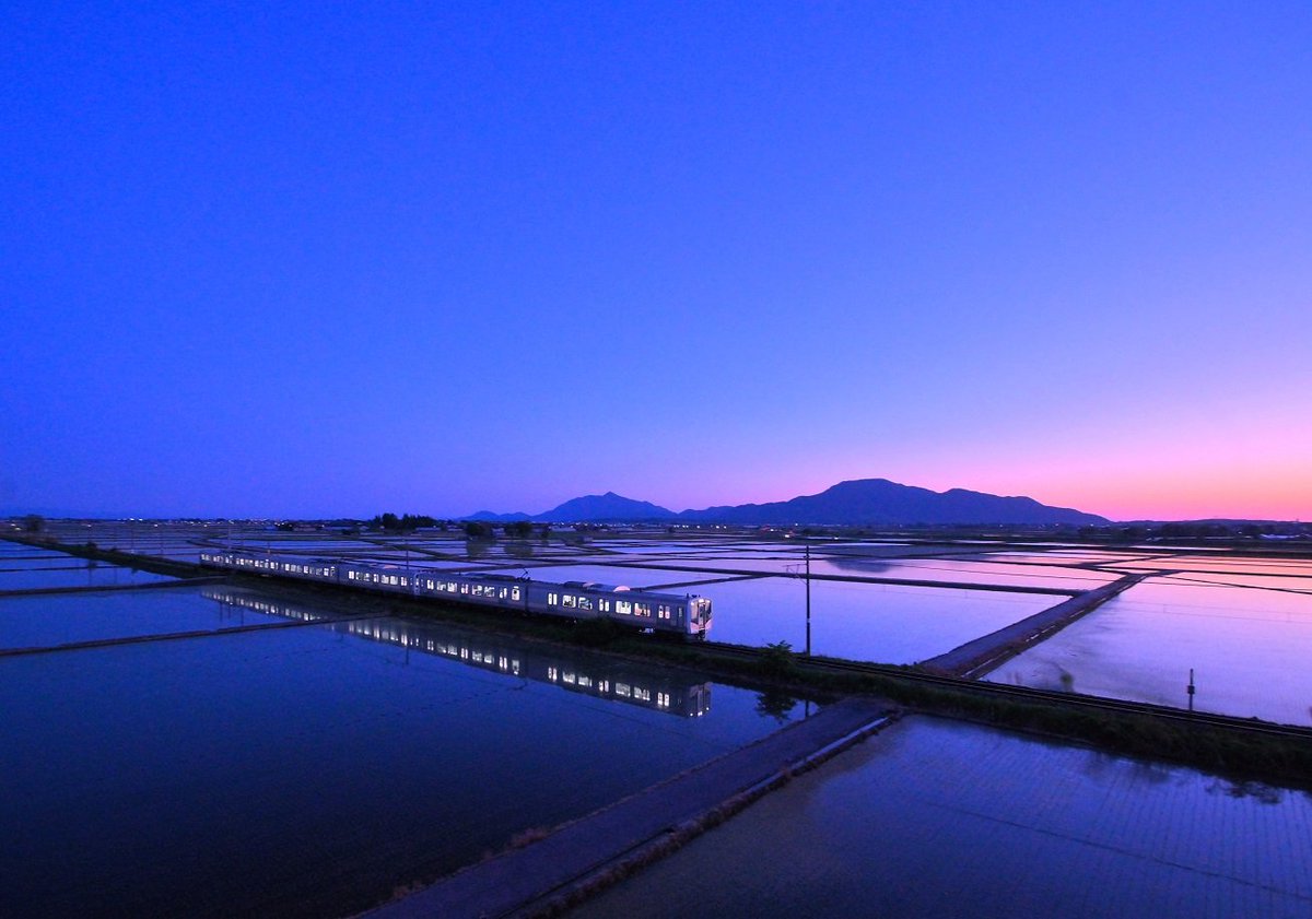 こけだま写真館 tweet media