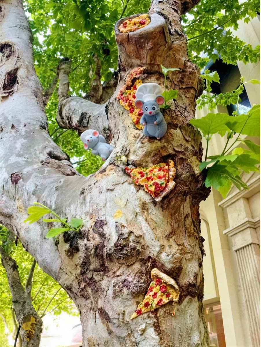 hangzhoufeel's tweet photo. 🐭🍕Tiny "street spirits" have quietly appeared along Zhongshan Middle Road. Created by China Academy of Art students together with Hubin Subdistrict, the playful art project is transforming overlooked street corners into fun little surprises, making this historic Hangzhou street feel like a real-life storybook.

You can see a mouse peeks out from a flowerbed, a rabbit sits beside a bench holding flowers, and even old manhole covers have turned into mini summer pool scenes. Hidden in the plane trees, there's even a tiny "pizza workshop" with a mouse chef serving cheesy slices. 

#Hangzhou #StreetArt #CityWalk