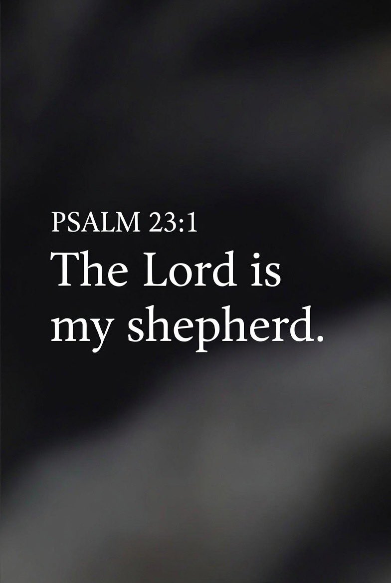 Holy Bible tweet media