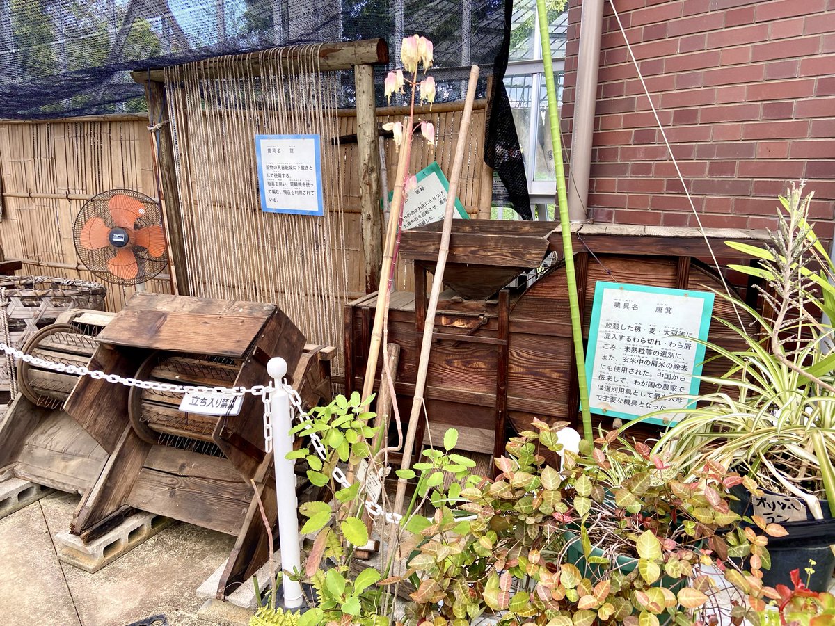 投稿は見沼グリーンセンターに戻ります🙇‍♀️ 展示温室があり、珍しい