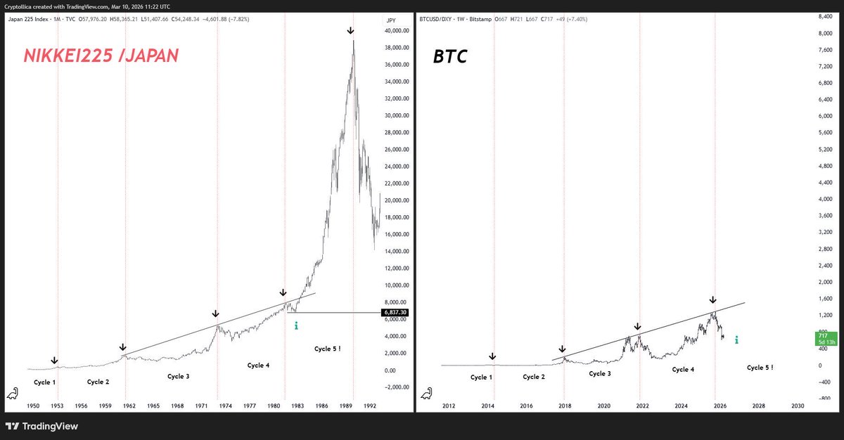 Cryptollica tweet media