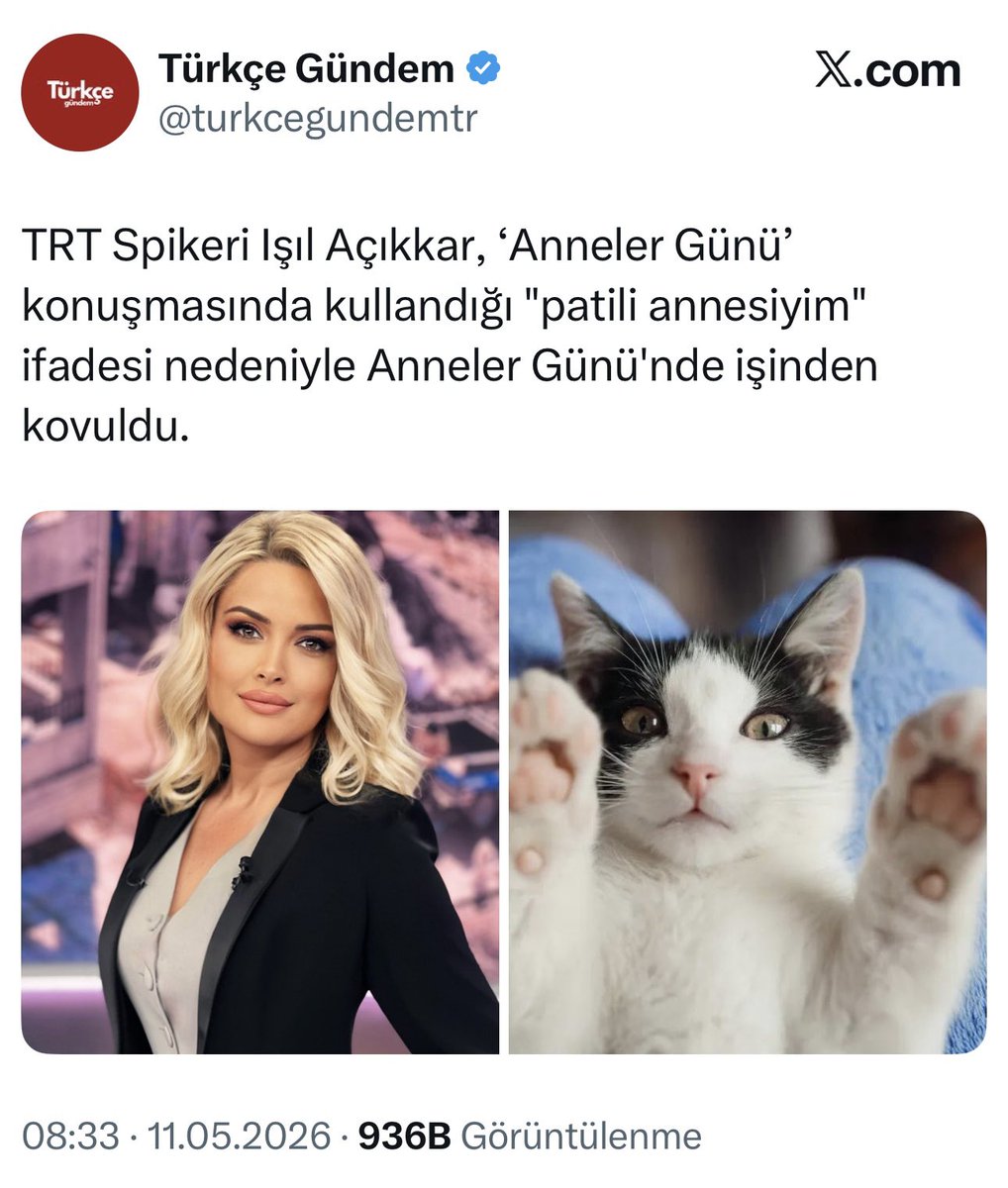 Av. Meltem Zorba tweet media
