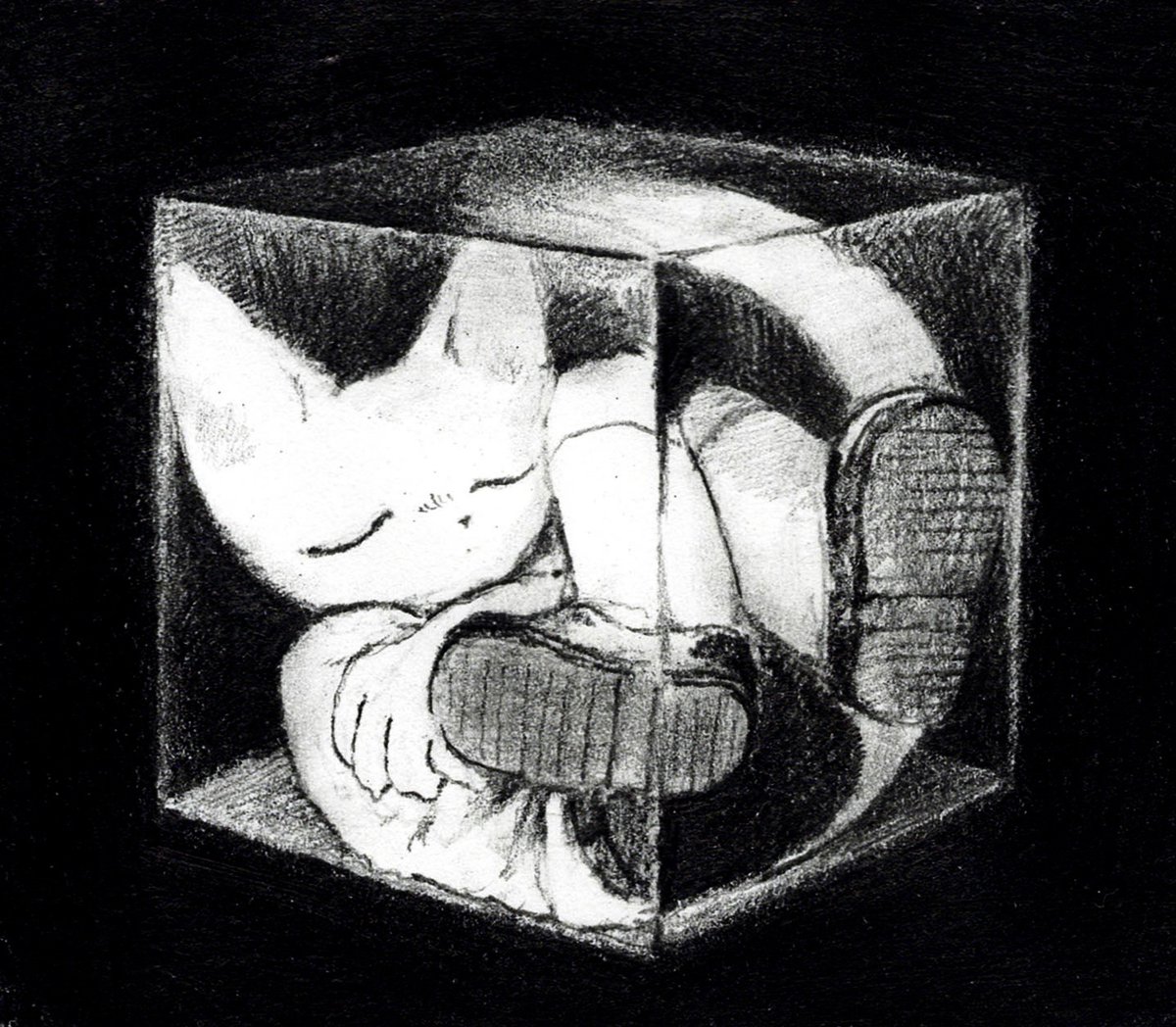 toshoneko個展5.27~ tweet media