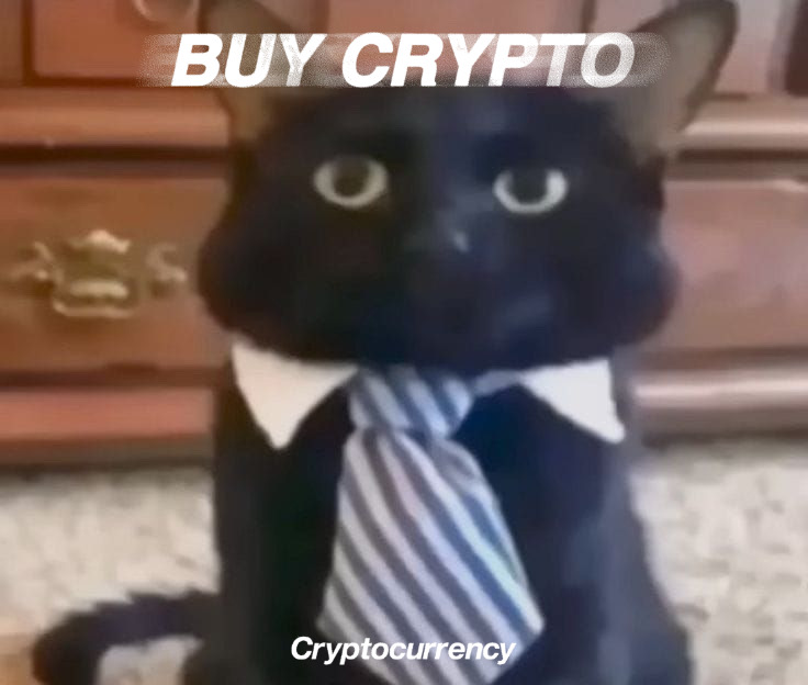 Crypto tweet media