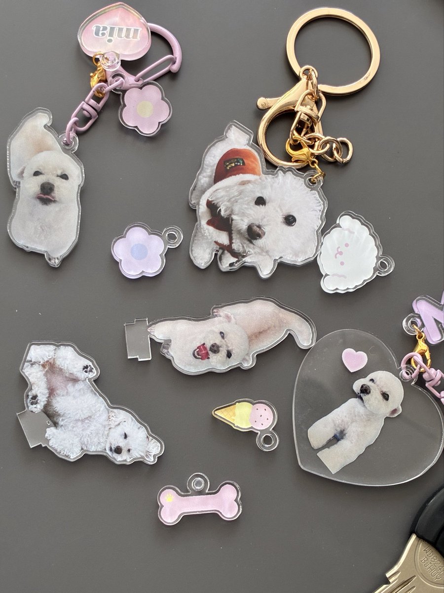 今年の母の日は、お犬様のアクキーを作ってプレゼント😂💕
初めて作ったけど、思ったより喜んでくれて、お母さん以外の家族も欲しがってくれて、大満足なり🥰