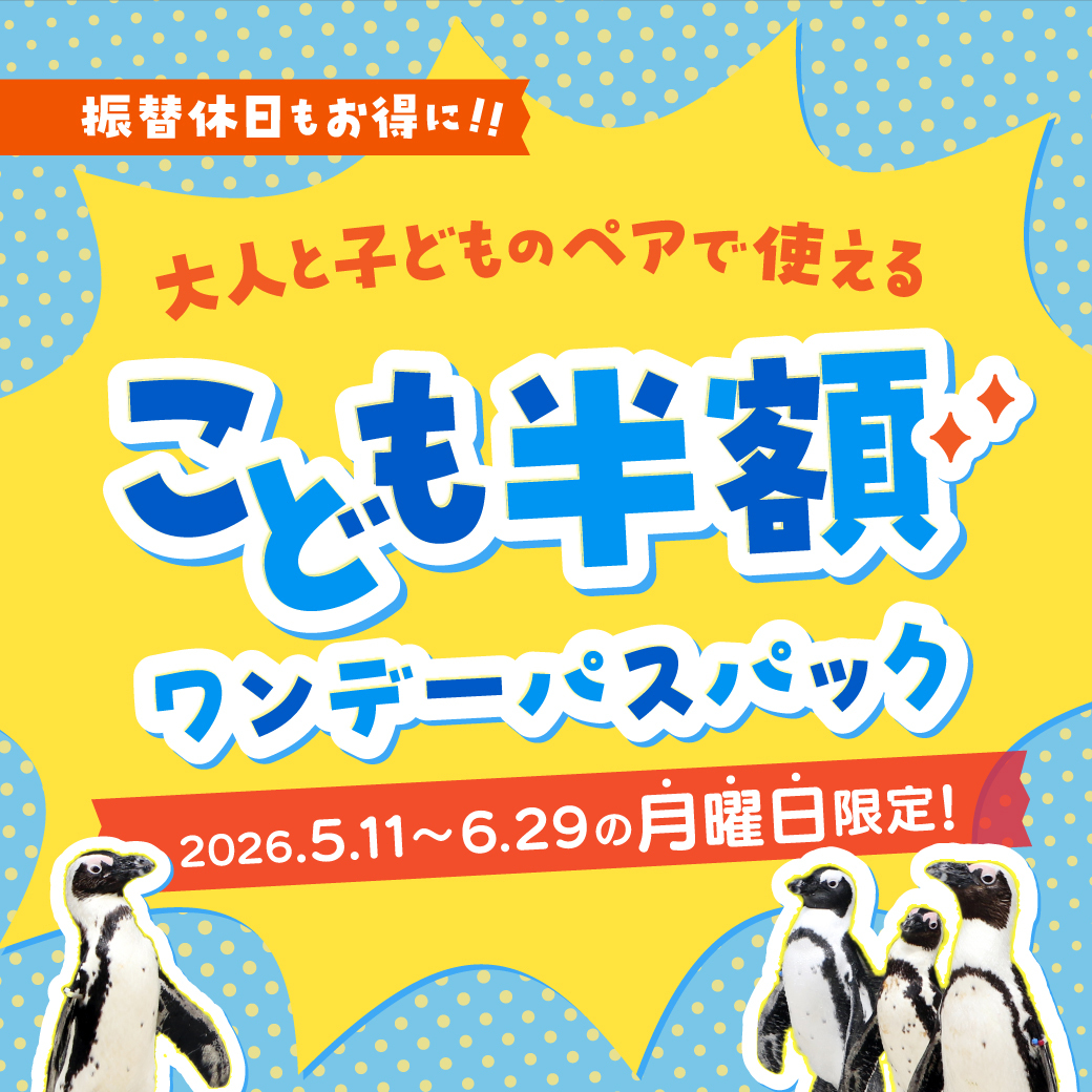 🐧月曜日限定！こども半額ワンデーパスパック販売中🐧 ☆最大2,050円お