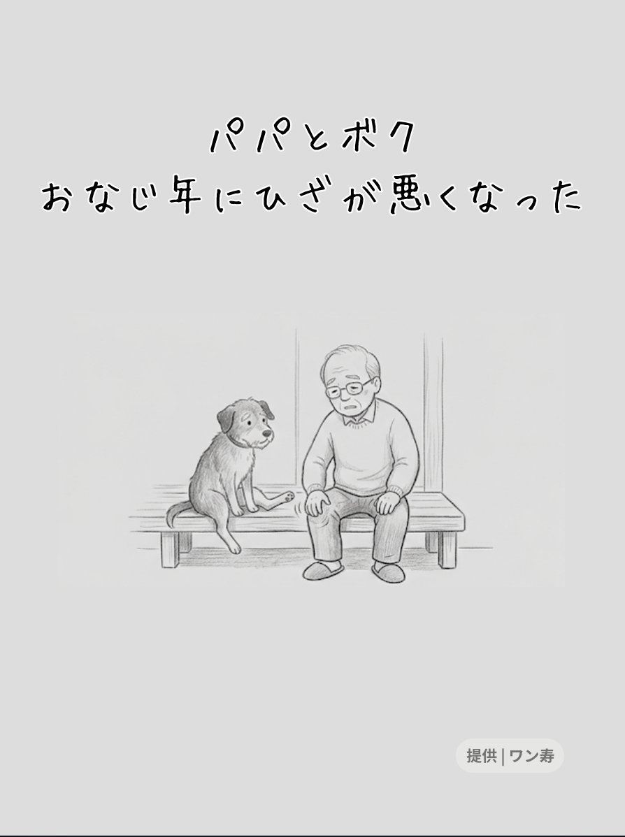 lifefire_zndmn's tweet photo. 心臓の音が同じ速さになっていくラストシーン。最期の瞬間までシンクロする絆に涙が止まりません。 https://t.co/rYM6QJIpN9