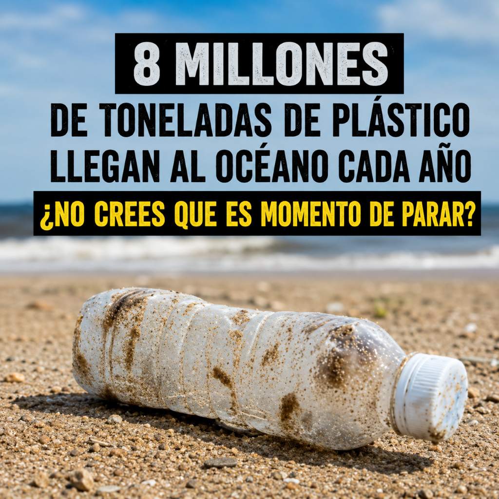 EcoInventos tweet media